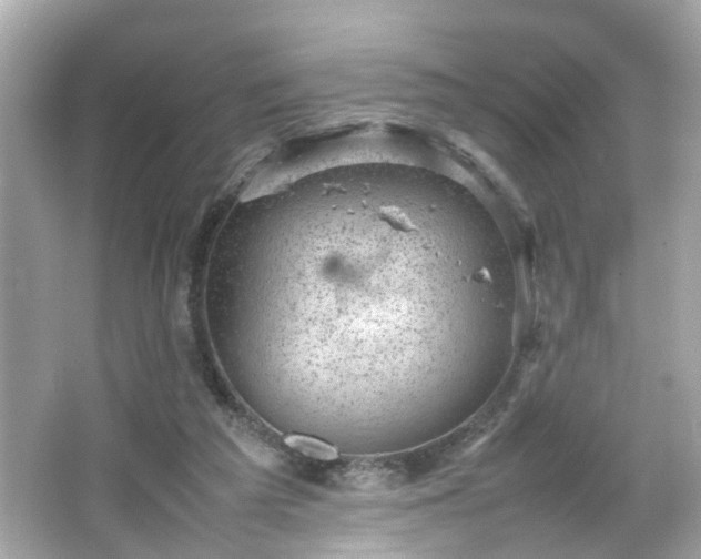 X0000066100209200603171405