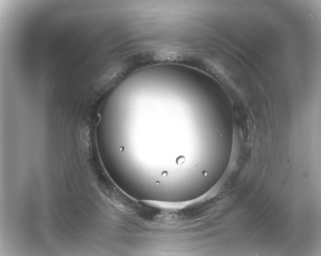 X0000066100211200603171405