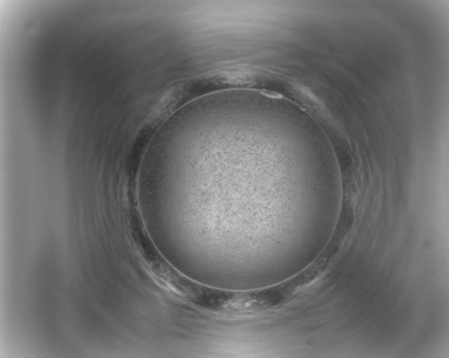 X0000066100213200603171405