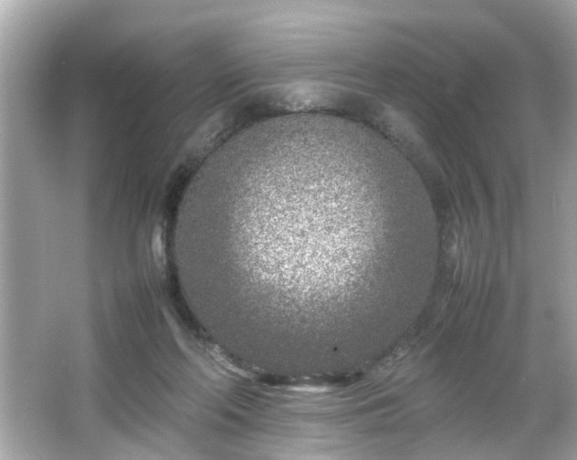 X0000066100214200603171405