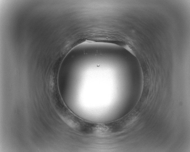 X0000066100215200603171405