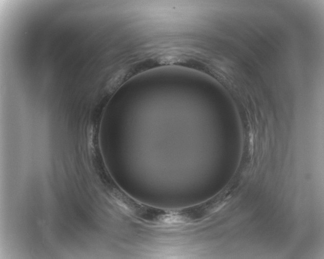 X0000066100219200603171405