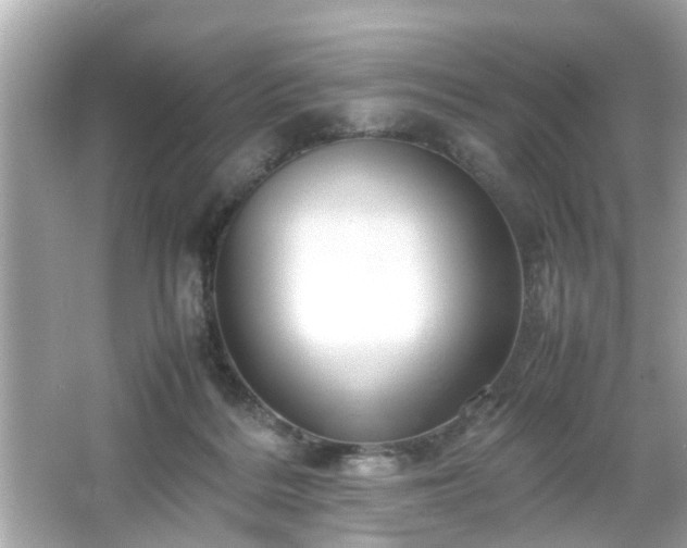 X0000066100220200603171405