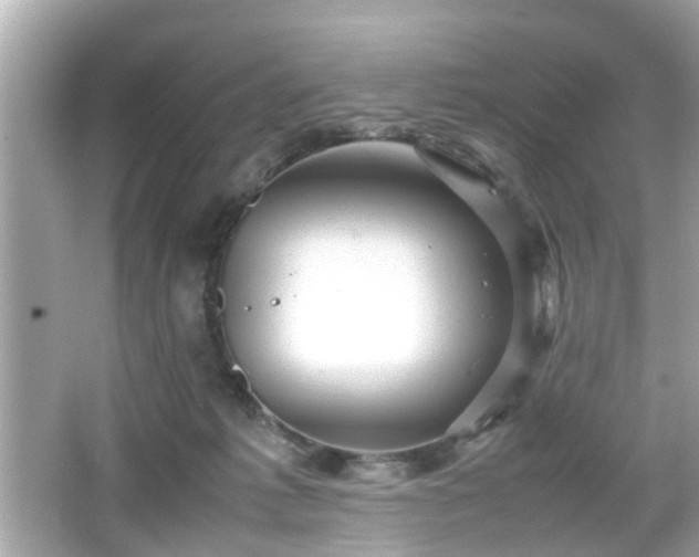 X0000066100221200603171405