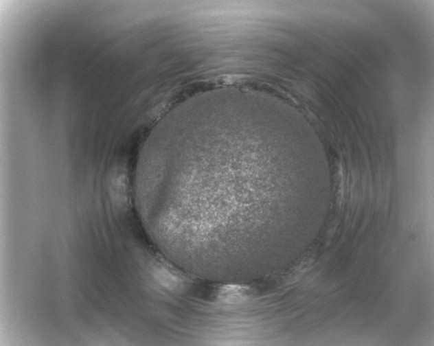 X0000066100222200603171405