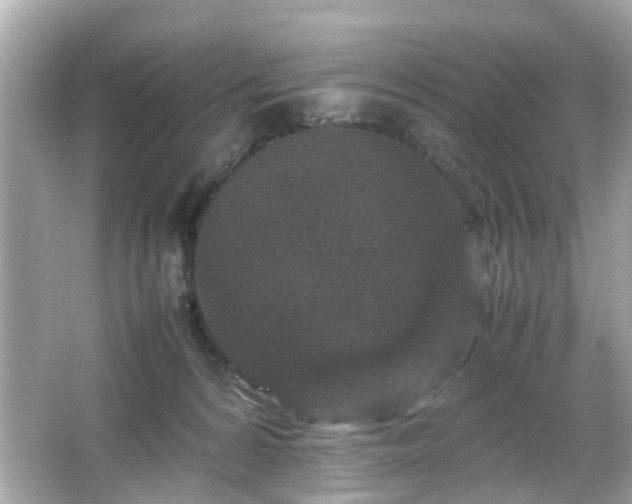 X0000066100224200603171405