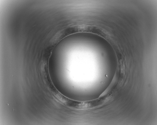 X0000066100225200603171405