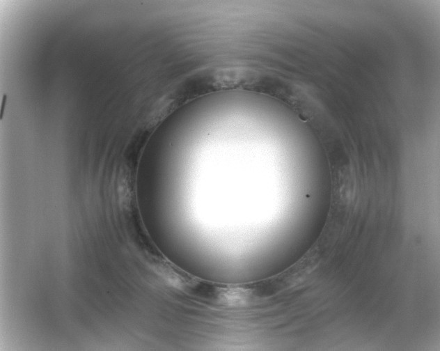 X0000066100226200603171405