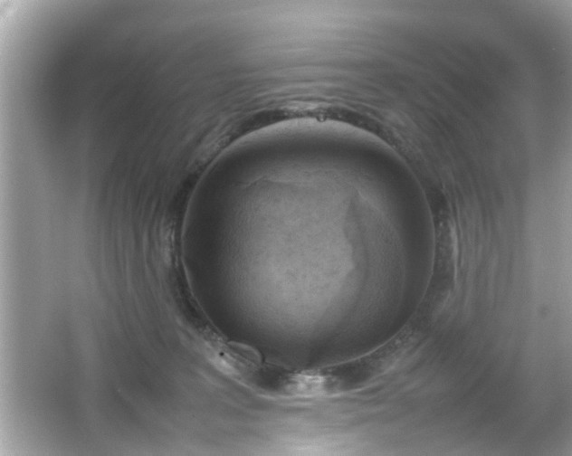 X0000066100227200603171405