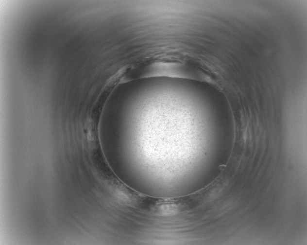 X0000066100228200603171405