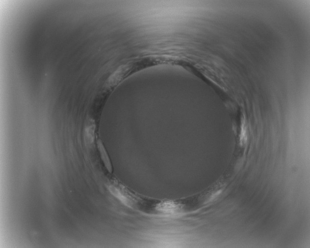 X0000066100231200603171405