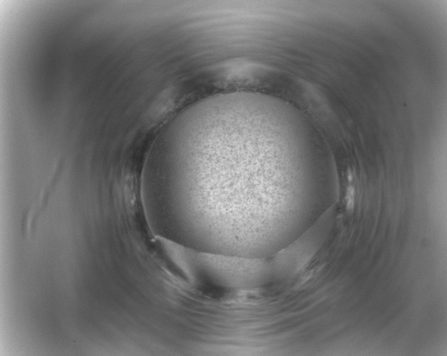 X0000066100232200603171405