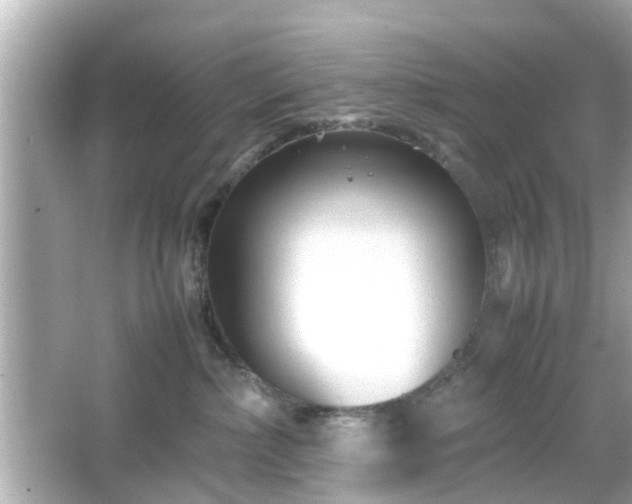 X0000066100236200603171405