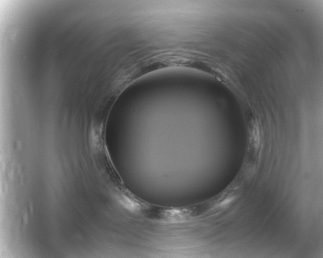 X0000066100239200603171405