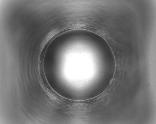 X0000066100242200603171404