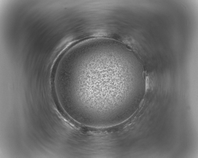 X0000066100243200603171404