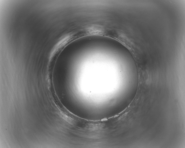 X0000066100245200603171404