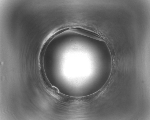 X0000066100246200603171404