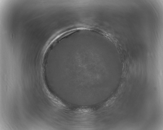 X0000066100247200603171404