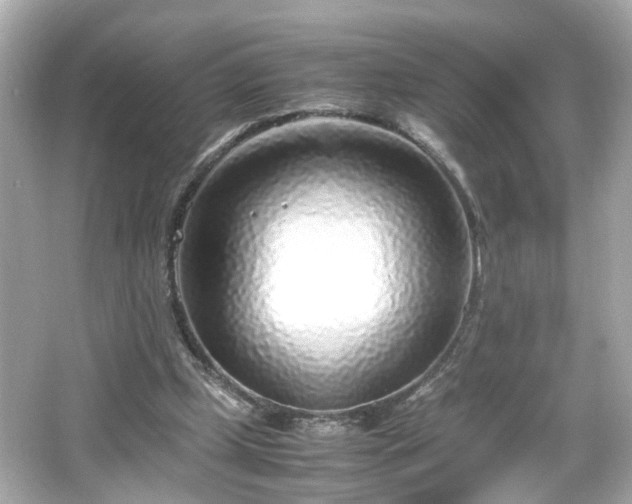 X0000066100249200603171404