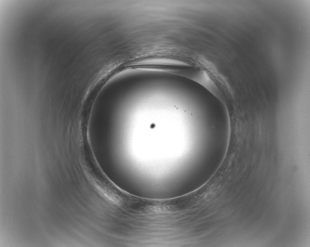 X0000066100250200603171404