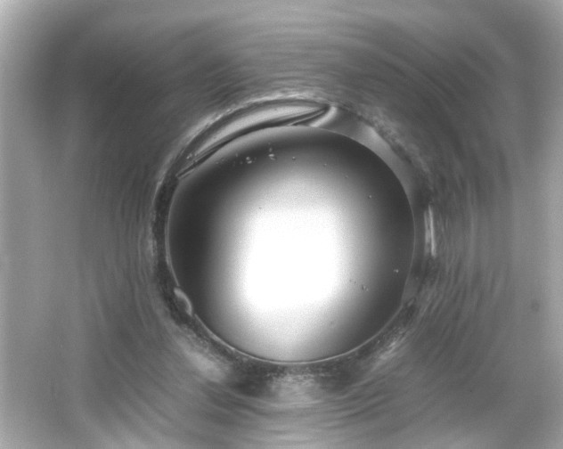 X0000066100252200603171404