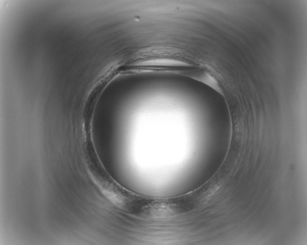 X0000066100254200603171404