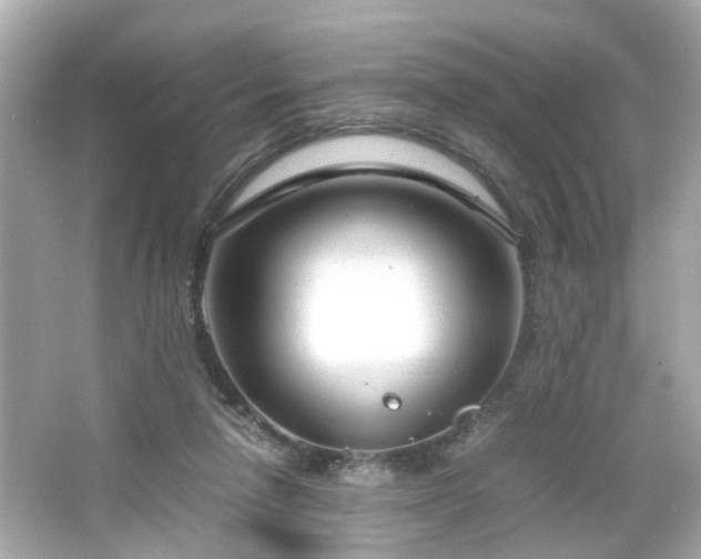 X0000066100258200603171404