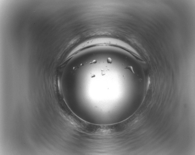 X0000066100260200603171404