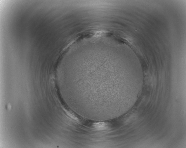 X0000066100269200603171404