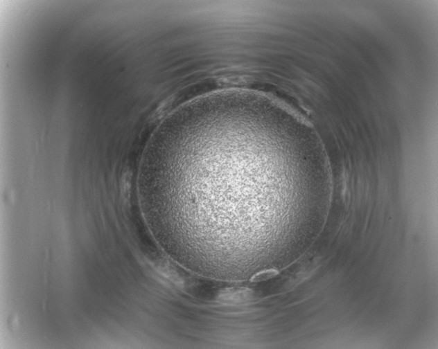 X0000066100271200603171404