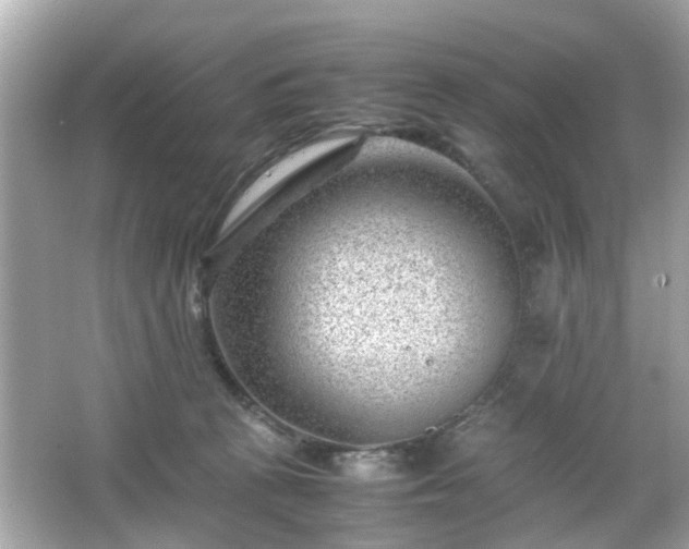 X0000066100273200603171404