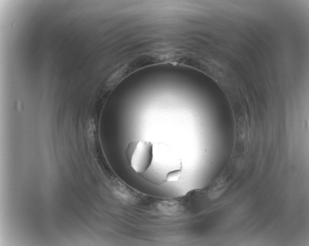 X0000066100279200603171404