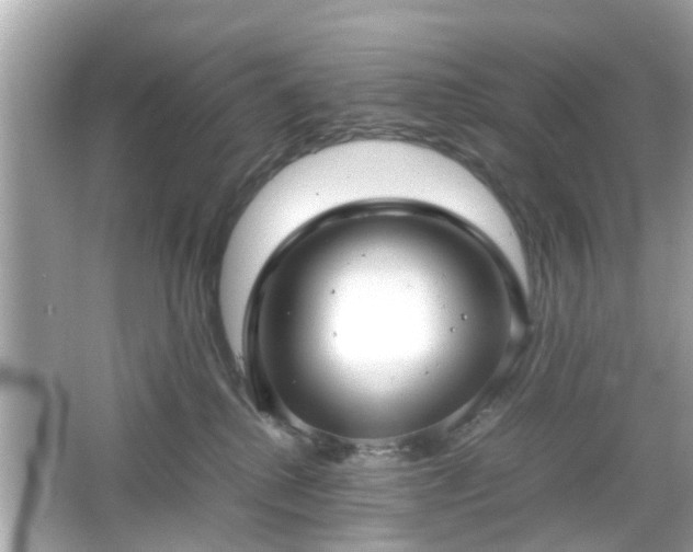 X0000066100280200603171404