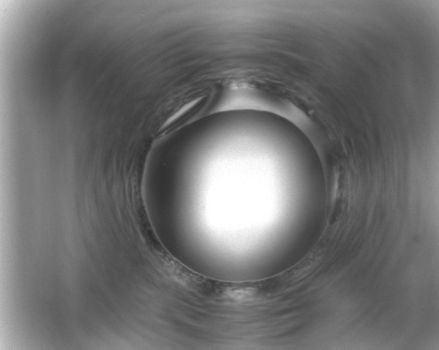 X0000066100283200603171405