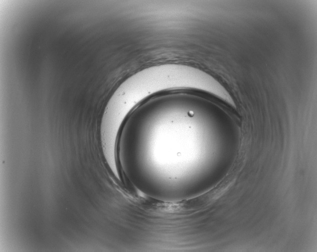 X0000066100288200603171405