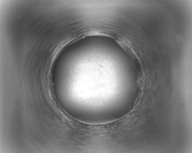 X0000066100289200603171404