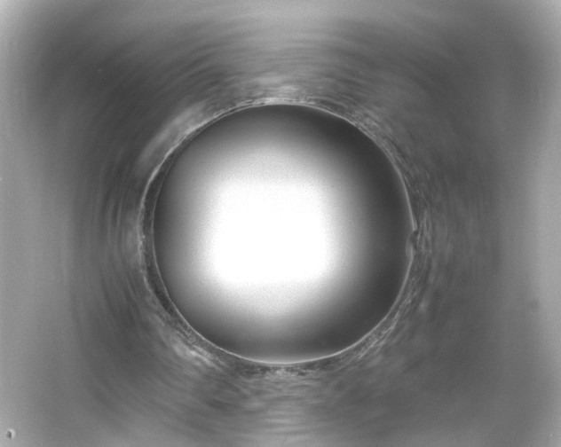 X0000066100290200603171404