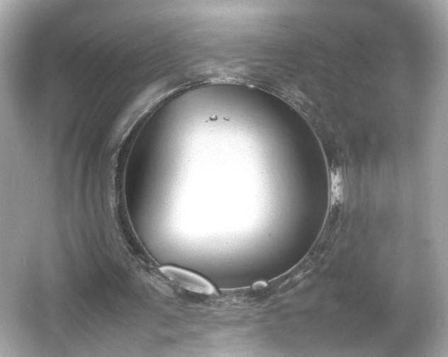 X0000066100291200603171404