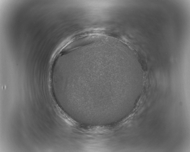 X0000066100293200603171404