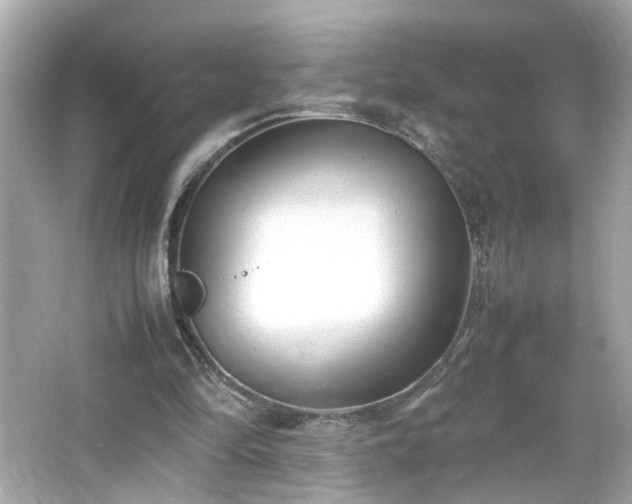 X0000066100294200603171404