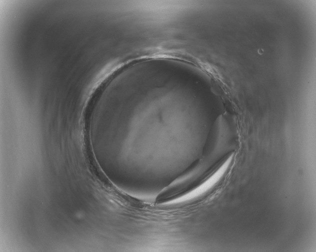 X0000066100295200603171404