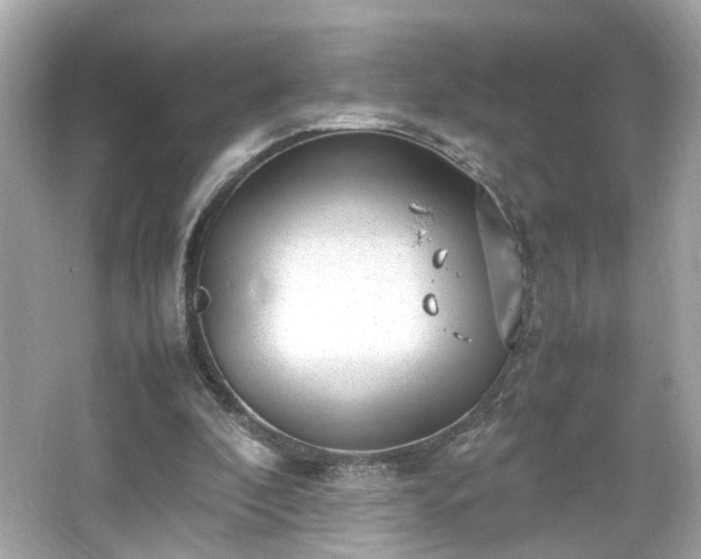 X0000066100296200603171404