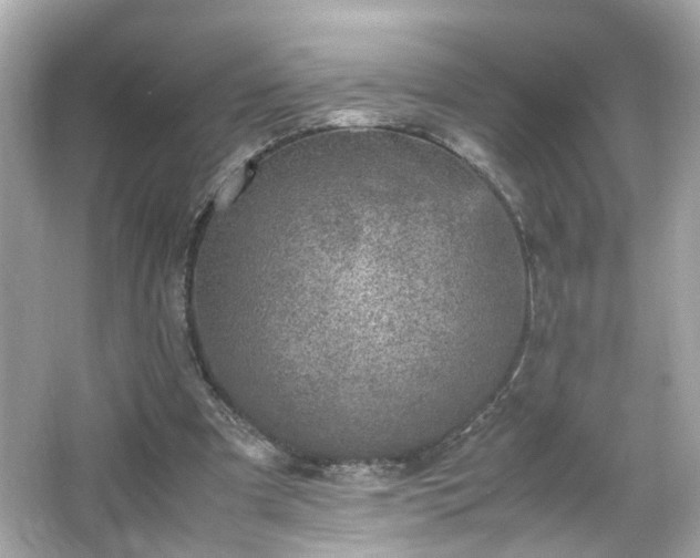 X0000066100297200603171404