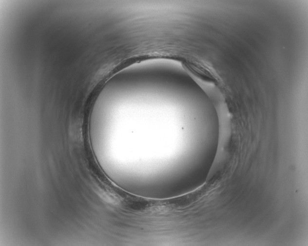 X0000066100299200603171404