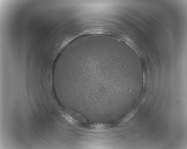 X0000066100301200603171404