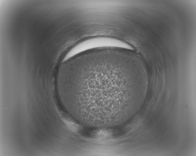 X0000066100303200603171404