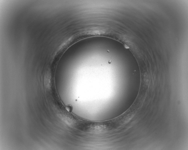 X0000066100304200603171404