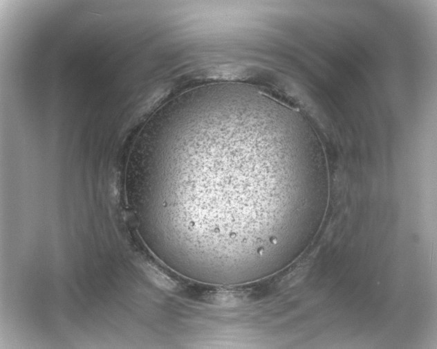 X0000066100305200603171404