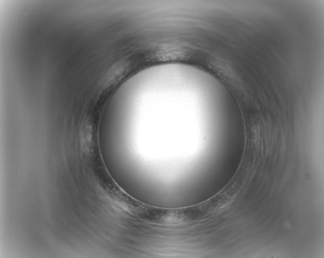 X0000066100308200603171403